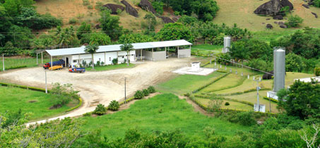 Empresa